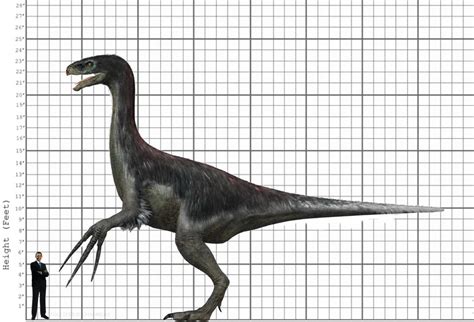 My Therizinosaurus size comparison by EthanThomas2022 on DeviantArt