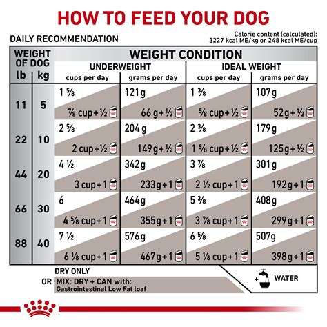 ROYAL CANIN VETERINARY DIET® Canine Gastrointestinal Low Fat Dry Dog ...