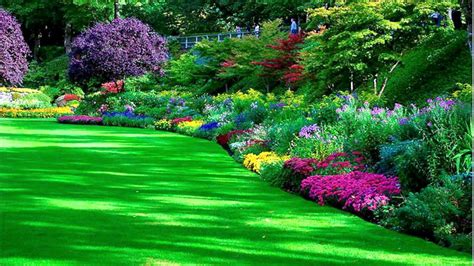 a lush green field filled with lots of flowers next to trees and grass covered ground