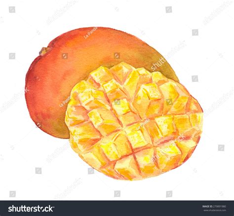 Mango Fruit - Cuted Piece. Watercolor Stock Photo 279891980 : Shutterstock