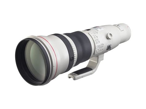 Buy Canon EF 800mm f/5.6L IS USM Super Telephoto Lens For Digital SLR ...