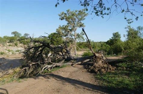 Sections of the island impacted by gale force winds associated with a cold front, last evening ...