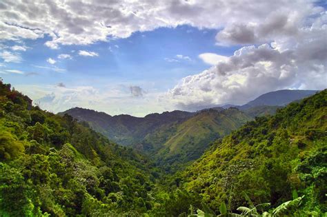 The 7 Best Hiking Trails in Jamaica