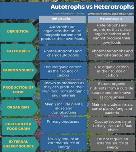 Difference Between Autotrophs and Heterptrophs | Compare the Difference ...