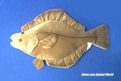 Flounder Plush Stuffed Animal Fish Toy at Animal World®