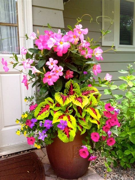 99 Simple Summer Container Garden Flowers And Formula (53 ...