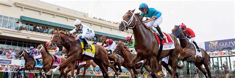 Gulfstream Park Horse Racing Odds & Picks for Friday, May 8 | MyBookie