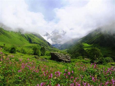 Most Beautiful Natural Landscapes in India - Adventure Nation Blog