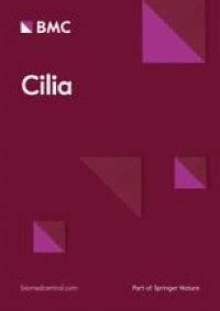 Cilia develop long-lasting contacts, with other cilia | Cilia | Full Text