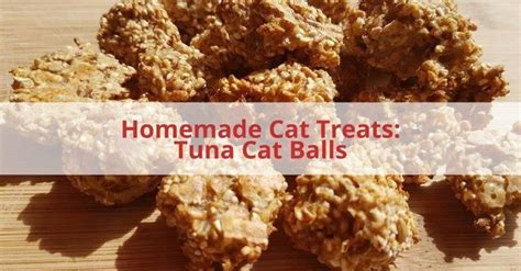 Homemade Cat Treats: Tuna Cat Balls