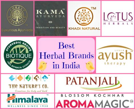 10 Best Herbal Skincare Brands in India - Beauty, Fashion, Lifestyle blog