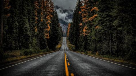 Road Between Trees With Long View Of Fog Covered Moutain 4K HD Nature ...