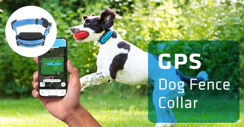 The Best GPS Dog Fence Collar: SkyShepherd — SkyShepherd