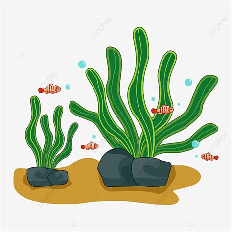 Algae Plant Clipart Transparent Background, Algae Plant Seaweed Clip ...