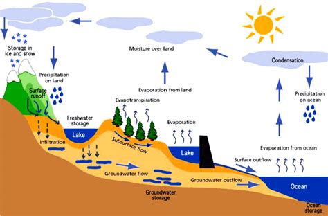 Hydrologic Cycle Diagram Worksheet