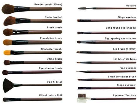 Make up brushes names