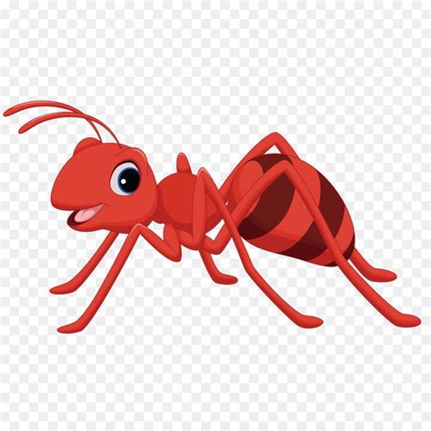 Ants clipart red ant, Ants red ant Transparent FREE for download on WebStockReview 2024