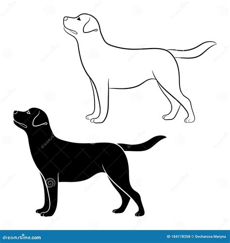 Labrador Retriever Outline