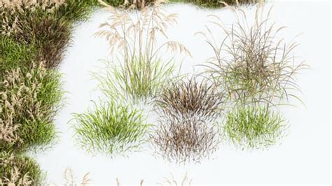 ArtStation - Grass-Dry-Set01 | Resources