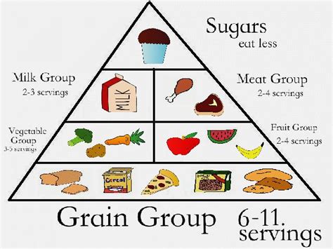 Desert Food Pyramid