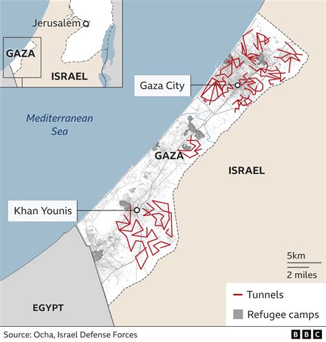 Tragedies in Gaza: what you need to know – WCHS Insight