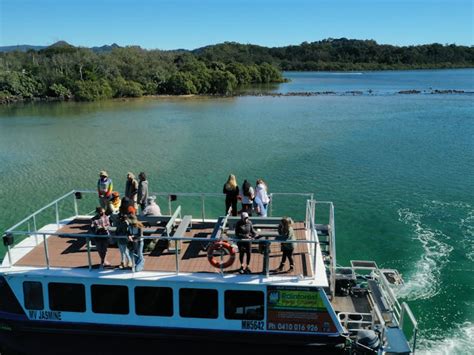 Sunset Eco Rainforest River Cruise Two Hours | NSW Holidays & Accommodation, Things to Do ...