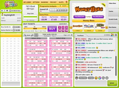 Biscuit Bingo | Claim Your 900% Bonus Pack Here