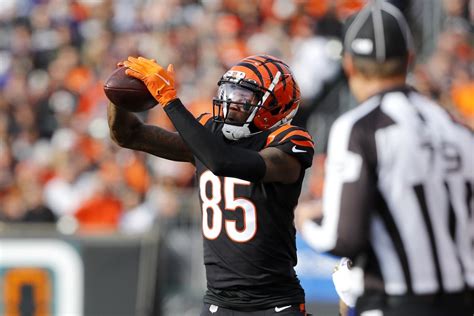 Cincinnati Bengals WR Tee Higgins Underwent Offseason Surgery - Sports ...