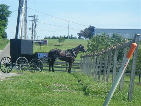 Berlin, Ohio | Amish country, Amish, Ohio