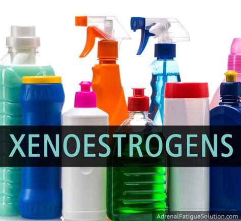 Xenoestrogens: What Are They & Why Should You Avoid Them?