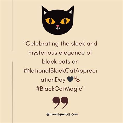 50 Best National Black Cat Appreciation Day Quotes, Messages & Wishes