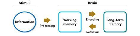 Memory and Learning - Office of Curriculum, Assessment and Teaching Transformation - University ...