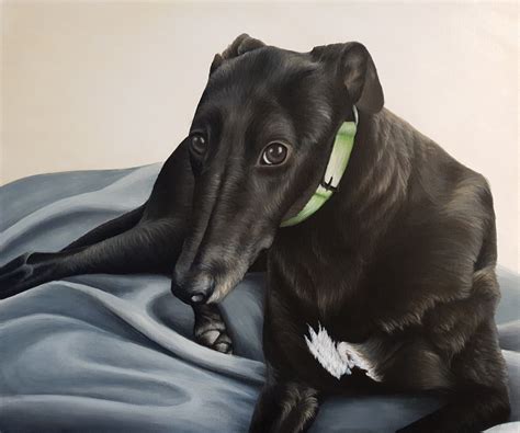 Fred the Greyhound_Greyhound Portrait by Erin Hale_Art Lovers Australia