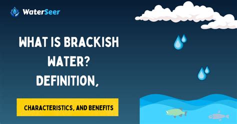 What is Brackish Water? Characteristics, and Benefits