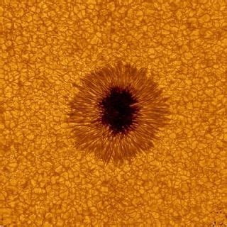 What Are Sunspots? | Space