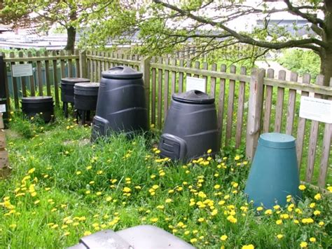 How To Choose The Best Type Of Composting Bin For You | Will It Compost