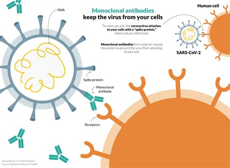 State-funded monoclonal antibody treatment center opens in Fort Worth. Here’s what you need to ...