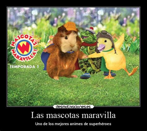 Las mascotas maravilla | Desmotivaciones