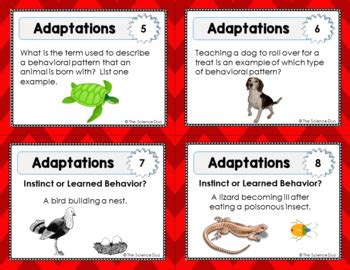 Adaptations and Natural Selection Task Cards by The Science Duo | TPT