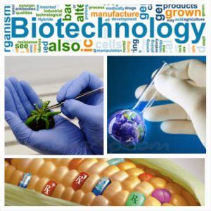 Application of Biotechnology and concerned Ethical and Intellectual ...