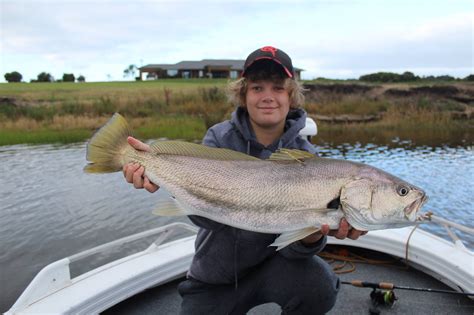 Mulloway Tagging Update: Recent recaptures provide evidence of ...