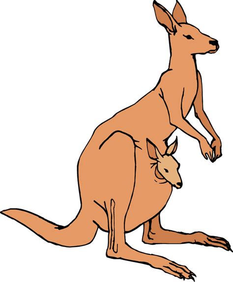 Free Kangaroo Cliparts, Download Free Kangaroo Cliparts png images, Free ClipArts on Clipart Library