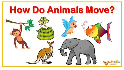 How Do Animals Move? | Learning Video For Kids | AuSum Sisters - YouTube