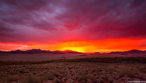 Desert Sunset | Will Burrard-Lucas