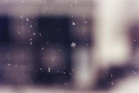 Snowflakes Falling · Free Stock Photo