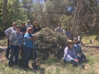 Removing invasive species with BECY crew members | Photo by … | Flickr