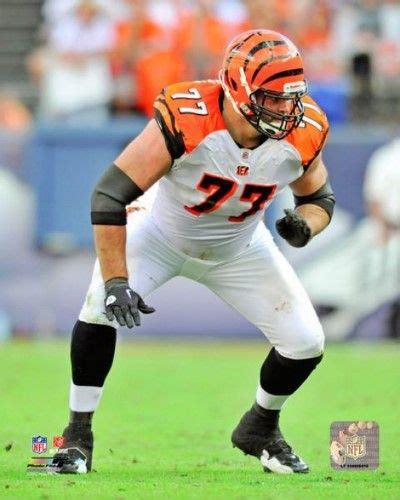 Andrew Whitworth 2011 Action Photo Print (20 x 24) | Cincinnati bengals, Bengals, Bengals football