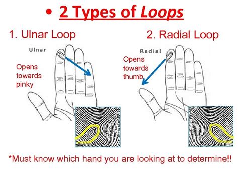 Ch 14 Fingerprints I History of Fingerprints