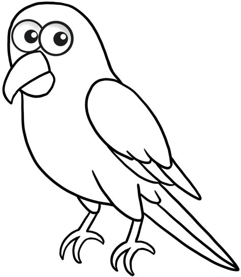 cute cartoon poultry wings animal parrot for coloring 10838136 PNG