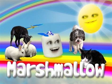 Annoying Orange: Marshmallow Theme Song - YouTube
